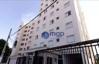 Apartamento de 3 quartos a venda, 78 m² - vila dom pedro ii