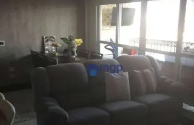 Apartamento com 3 dormitórios à venda, 77 m² - vila maria