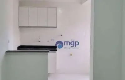 Apartamento com 2 dormitórios para alugar, 46 m² - vila maria - são paulo/sp