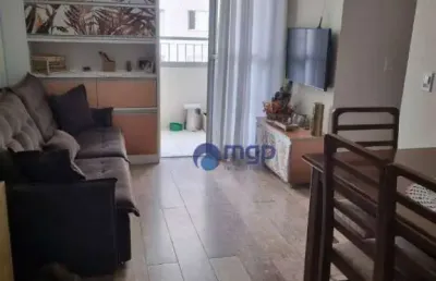 Apartamento com 3 dormitórios à venda, 83 m² - vila germinal -
