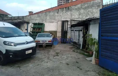 Terreno à venda na vila maria - 300 m² - são paulo/sp