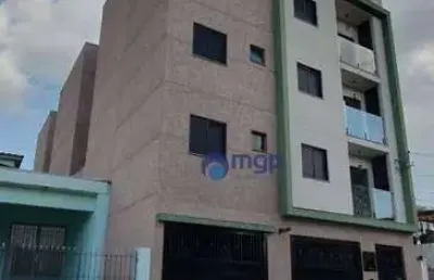 Apartamento cobertura novo com 3 quartos, à venda na vila constança - 66 m² - são paulo/sp