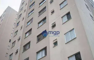 Apartamento com 2 quartos, à venda no brás - 64 m² - são paulo/sp