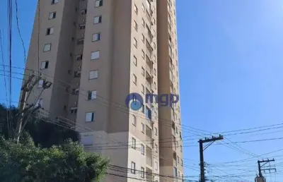 Apartamento com 3 dormitórios à venda, 65 m² por r$ 590.000,00 - vila maria alta - são paulo/sp