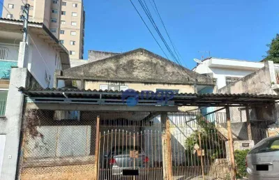 Terreno amplo à venda no bairro jardim são paulo - 350 m² - são paulo/sp