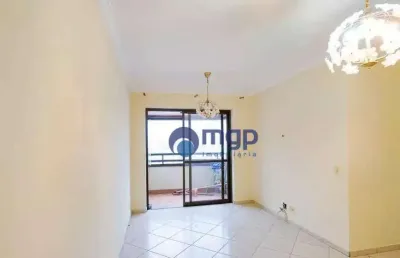 Apartamento com 3 quartos, à venda na vila gomes cardim - 81 m² - são paulo/sp