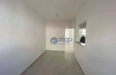Apartamento com 1 quarto para locação na vila maria - 36 m² - são paulo/sp