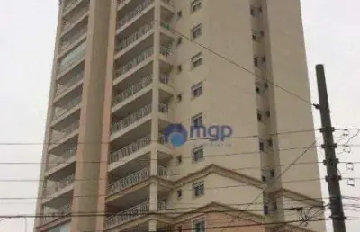 Apartamento cobertura com 4 quartos, à venda na vila maria - 207 m² - são paulo/sp
