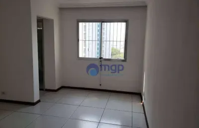 Apartamento com 2 dormitórios à venda, 50 m² por r$ 350.000,00 - parque novo mundo - são paulo/sp