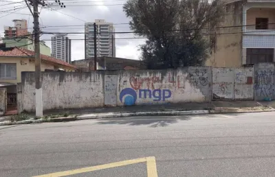 Terreno à venda, 800 m² por r$ 3.200.000,00 - vila guilherme - são paulo/sp