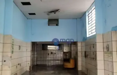Salão para alugar, 100 m² por r$ 4.000,00/mês - vila maria - são paulo/sp
