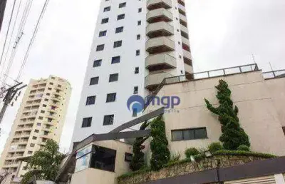 Apartamento com 3 dormitórios à venda, 133 m² - água fria - são paulo/sp