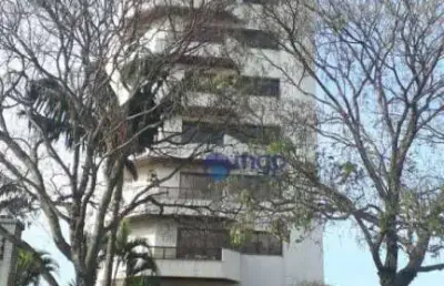 Apartamento com 4 dormitórios à venda, 220 m² - vila maria - são paulo/sp