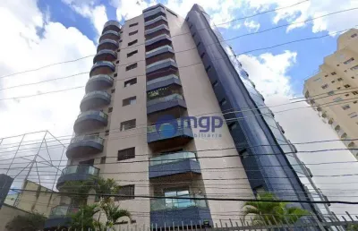 Cobertura duplex à venda no bairro vila dom pedro ii - 225 m² - são paulo/sp