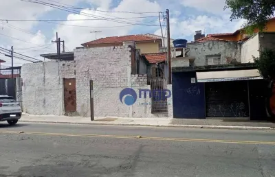 Terreno à venda na vila ede - 236 m² - são paulo/sp