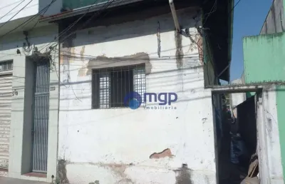 Terreno à venda, 250 m² por r$ 1.000.000,00 - vila maria - são paulo/sp