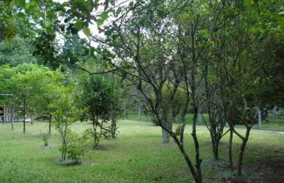 Casa com 4 quartos à venda na estrada manoel leôncio de souza brito, 140, vargem pequena, florianópolis por r$ 1.690.000