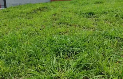 Terreno à venda no condomínio jardim toscana – indaiatuba – sp.