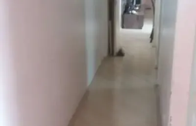 Apartamento com 3 quartos à venda no Jardim Vila Formosa, São Paulo 