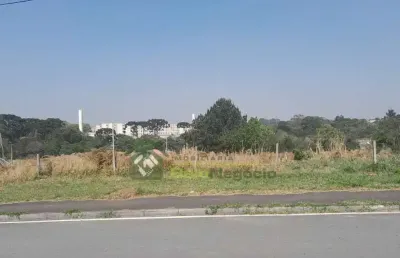 Terreno à venda na Rua José Tyrka, Sabiá, Araucária