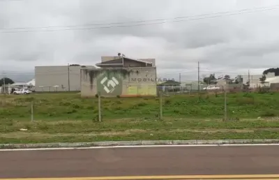 Terreno comercial para alugar na Rua Jose Hutnner, Fazenda Velha, Araucária