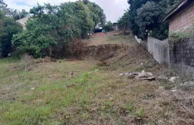 Terreno à venda na Rua Júlia Ohpis, Porto das Laranjeiras, Araucária