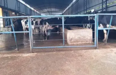 Fazenda á venda - 109 hectares - localização entre varginha e pouso alegre