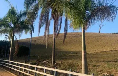 Fazenda á venda em piranguinho - mg com 32 hectares