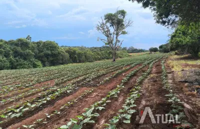 Fazenda de café produtiva – 47 alqueires em monte santo de minas