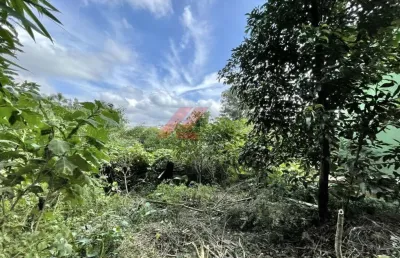 Terreno à venda em cotia-sp, na vila santo antônio, com 907m² de área! aproveite esta oportunidade única!