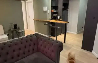 Apartamento com 2 quartos à venda na avenida patrício caldeira de andrade, --, abraão, florianópolis por r$ 600.000