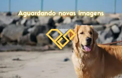 Apartamento com 3 quartos à venda no Ponta da Praia, Santos 