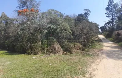 Chácara / sítio com 1 quarto à venda na rua manoel pires cordeiro, 1682, borda do campo, são josé dos pinhais por r$ 199.000