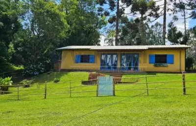 Chácara / sítio com 2 quartos à venda na rua artur carvalho da rocha, 1450, contenda, são josé dos pinhais por r$ 2.299.000