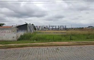 Terreno à venda na rua laerte fenelon, 886, ipê, são josé dos pinhais, 4461 m2 por r$ 4.461.000