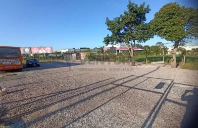 Terreno à venda na avenida rui barbosa, 7640, águas belas, são josé dos pinhais por r$ 4.365.000