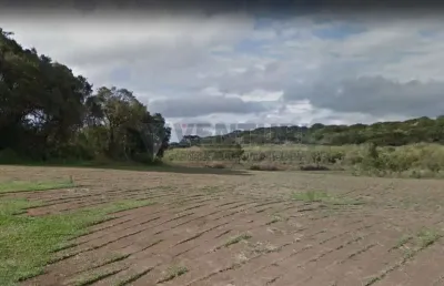 Terreno à venda na rua alcebíades da cruz, 00, campo largo da roseira, são josé dos pinhais, 424105 m2 por r$ 17.000.000