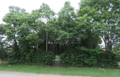 Terreno à venda na avenida alzira berton pauletto, 1185, del rey, são josé dos pinhais por r$ 410.000