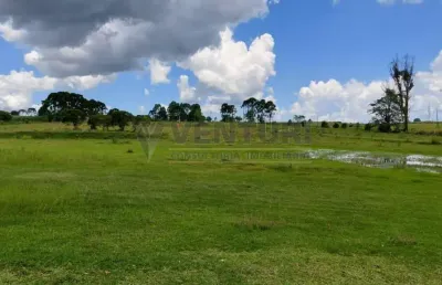 Terreno à venda na avenida vereador domingos benvenuto moletta, 00, campo largo da roseira, são josé dos pinhais por r$ 3.580.000