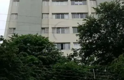 Apartamento andar alto com 2 quartos, para venda no jardim proença, em campinas/sp