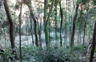 Terreno à venda na Alameda dos Pinheiros, 180, Capoavinha, Mairiporã