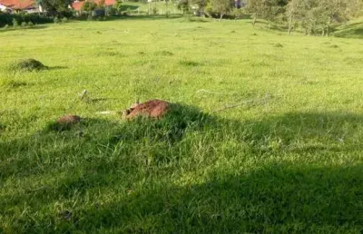 Terreno à venda na Estrada Da Vertentes, 26, Mascate, Nazaré Paulista