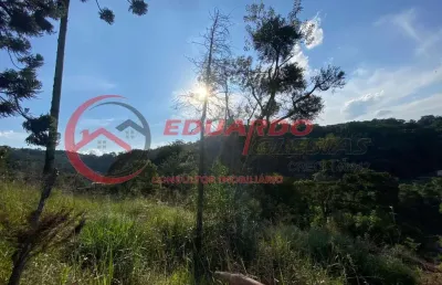 Terreno à venda na Alameda dos Pinheiros, 180, Jardim Samambaia, Mairiporã