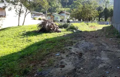 Terreno com 923m2 e 20m de frente em corredor de serviços (uso residencial ou comercial/industrial)