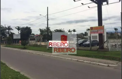 Terreno residencial à venda, pinheirinho, criciúma.