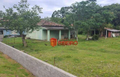 Terreno à venda, 5000 m² por r$ 425.000,00 - morro dos conventos - araranguá/sc