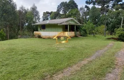 Chácara / sítio com 2 quartos à venda na Estrada Catarina Taverna Dos Santos, Cerne Papanduva, Campina Grande do Sul