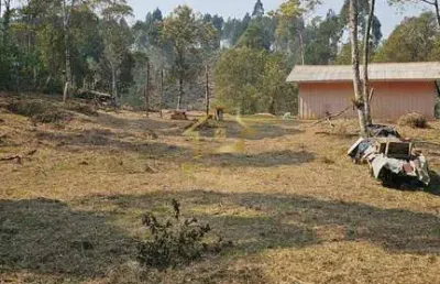 Chácara / sítio com 2 quartos à venda no Centro, Bocaiúva do Sul 