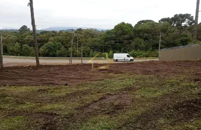 Terreno comercial para alugar na Rodovia do Caqui, 6609, Jardim Colina, Campina Grande do Sul