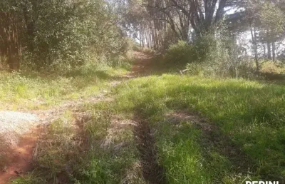Chácara / sítio à venda na Nossa Senhora das Graças, Caxias do Sul 